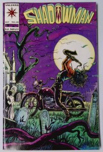 Shadowman #28 (Sep 1994, Acclaim / Valiant) VF/NM   