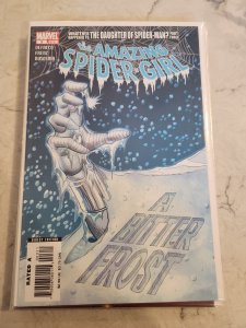 The Amazing Spider-Girl #3 (2007)