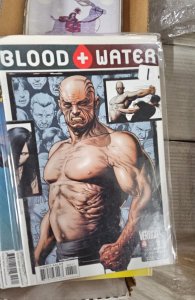 Blood and Water #4 (2003)