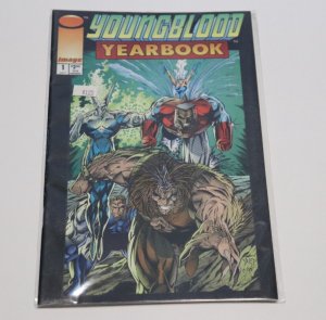 Youngblood Yearbook Vol 1 #1 July 1993  Image Comics