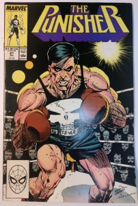 The Punisher #21 (8.0, 1989)