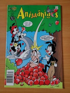 Animaniacs #8 Newsstand Variant ~ VERY FINE VF ~ 1995 DC Comics