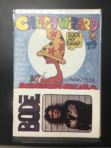 Schizophrenia (1973)