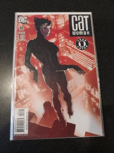 ​Catwoman #53 HIGH GRADE  DC Comics Adam Hughes Cover NM
