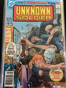 Unknown Soldier #247 (1981)