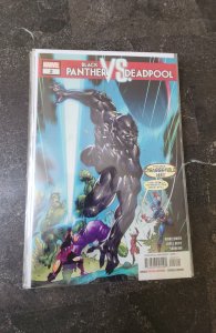 Black Panther vs. Deadpool #2 (2019)