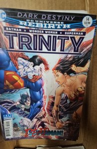 Trinity #14 (2017)