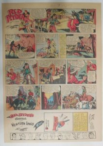 (52) Red Ryder Sunday Pages by Fred Harman from 1951 Tabloid Size Complete Year!