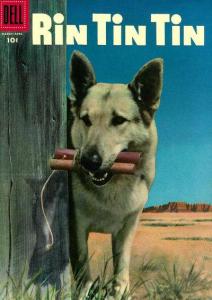 Rin Tin Tin #12, Fine+ (Stock photo)