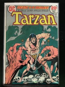 Tarzan #224 (1973)