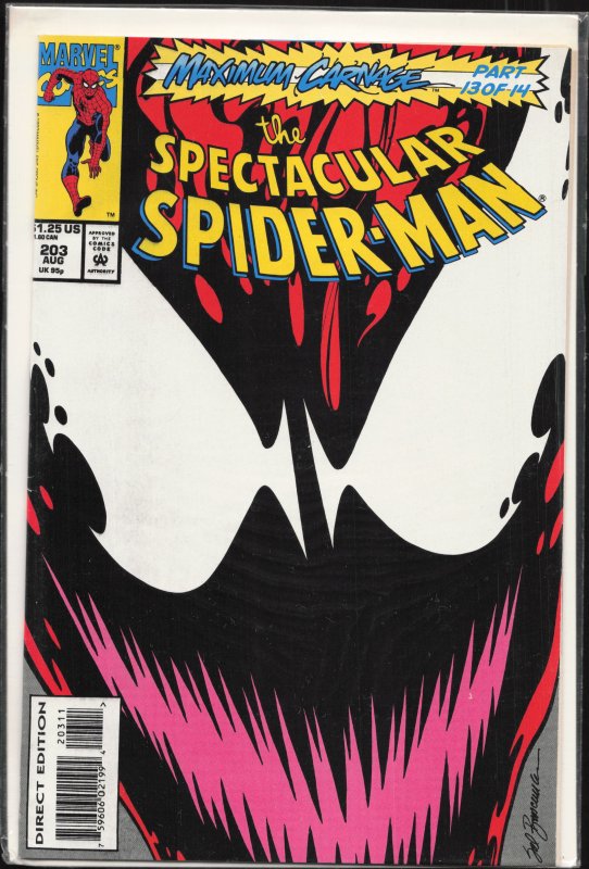 The Spectacular Spider-Man #203 (1993) Spider-Man