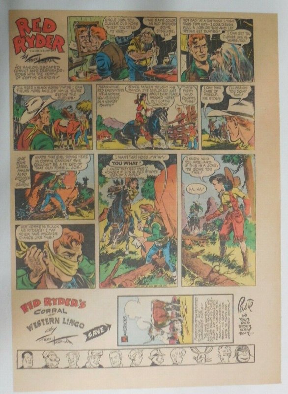 (52) Red Ryder Sunday Pages by Fred Harman from 1951 Tabloid Size Complete Year!