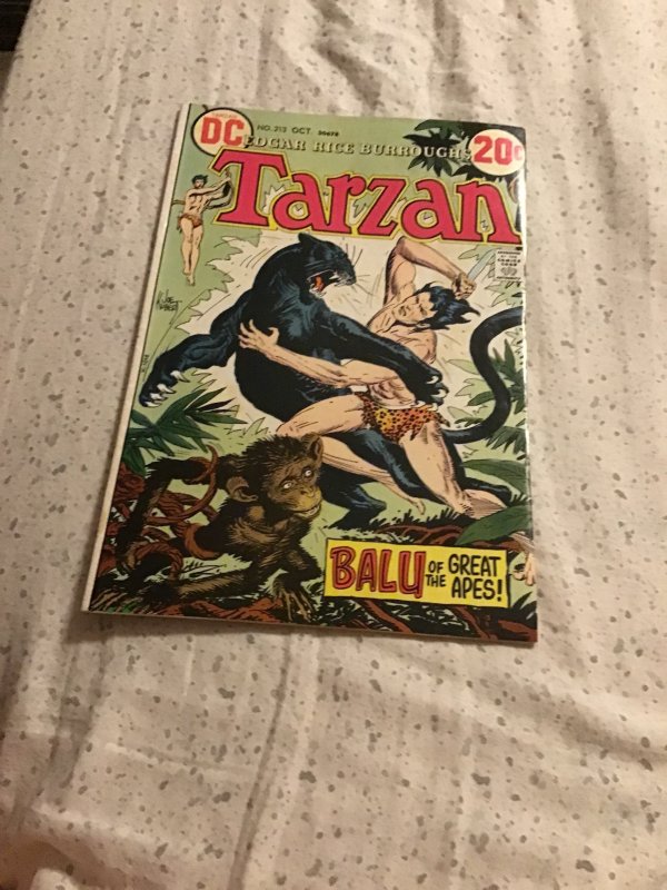 Edgar Rice Burroughs' Tarzan #213 (1972) High-Grade “Baku of The Great...