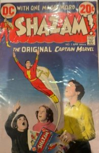 Shazam! #2 (1973) Captain Marvel / Shazam! 