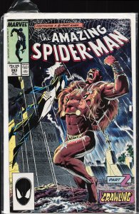 The Amazing Spider-Man #293 (1987) Spider-Man