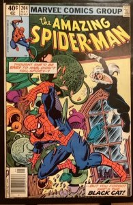 The Amazing Spider-Man #204 (1980) FN