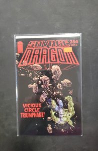 Savage Dragon #254 (2020)