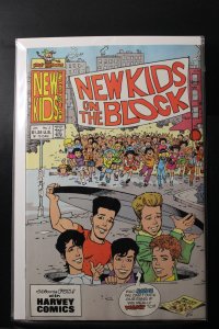 New Kids On The Block: NKOTB #2 Direct Edition (1991)