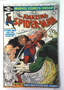 Amazing Spider-Man (1963 series)  #217, NM- (Actual scan)
