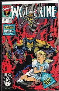 Wolverine #39 (1991) Wolverine