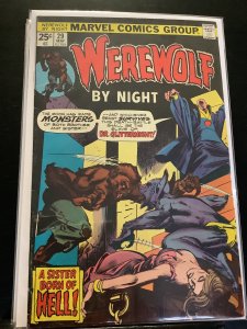 Werewolf by Night #29 (1975)