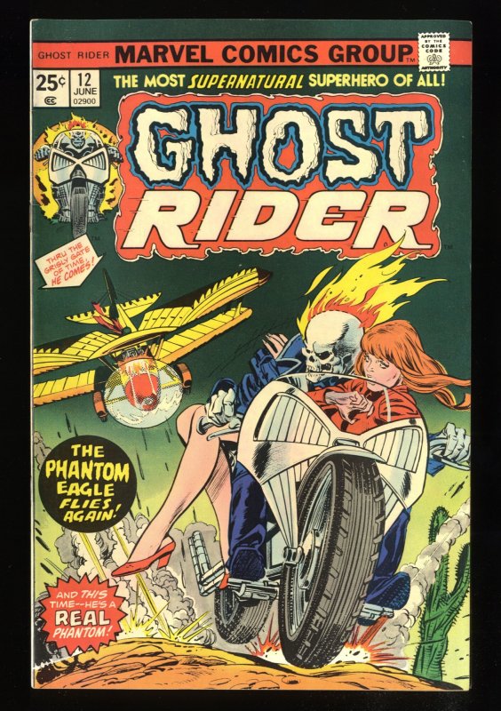 Ghost Rider #12 VF/NM 9.0