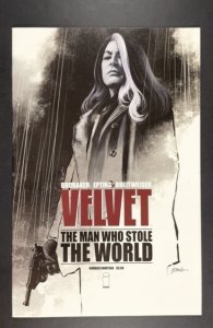 Velvet #14 (2016)