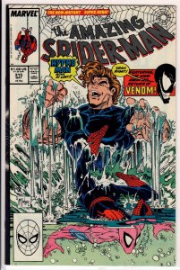 The Amazing Spider-Man #315 Direct Edition (1989) 8.5 VF+