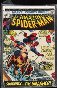The Amazing Spider-Man #116 (1973) Spider-Man