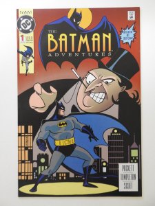 The Batman Adventures #1 (1992)Beautiful NM-/NM Condition