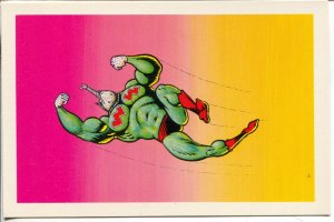 Wonder Wart-Hog Flying Post Card #44G 1980-Shelton-6 X 4-NM