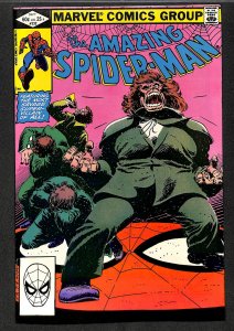 The Amazing Spider-Man #232 (1982)