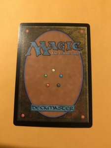 WARLOCK CLASS : Magic the Gathering MtG / Adventures in Forgotten Realms