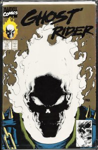 Ghost Rider #15 Second Print Cover (1991) Ghost Rider