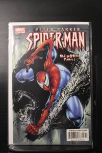 Peter Parker: Spider-Man #56 (2003)