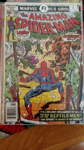 The Amazing Spider-Man #166 (Mar 1977, Marvel) VF/NM