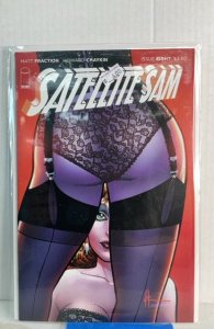 Satellite Sam #8 (2014)