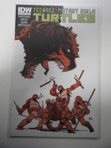 Teenage Mutant Ninja Turtles #16 (2012)