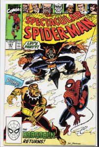 The Spectacular Spider-Man #161 (1990) Spider-Man