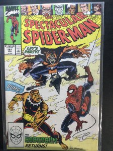The Spectacular Spider-Man #161 Direct Edition (1990)