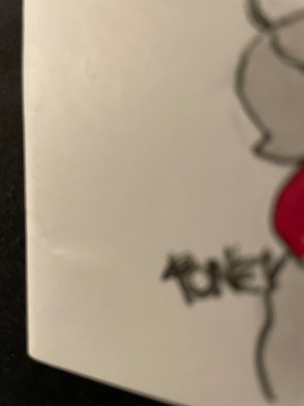 STRAY DOGS #1 Signed with Small Sketch, COA, VFNM Condition