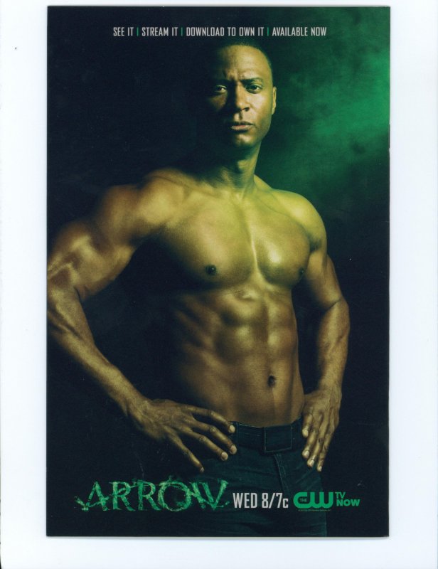 Forever Evil #4 Ethan Van Sciver Catwoman Cover (2014)