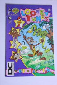 Looney Tunes #13 DC Universe Corner Box Variant (1995) VFNM