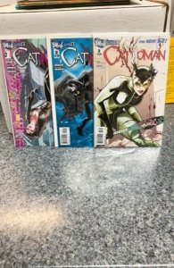 Catwoman new 52 #1-10 set