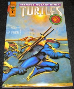 Teenage Mutant Ninja Turtles #1 (1993)