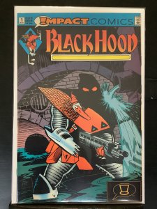 The Black Hood #1 (1991)