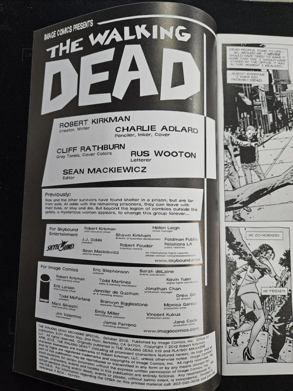 Walking Dead: Michonne Special, NM Variant Cover, Image Comics