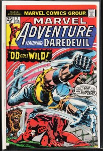 Marvel Adventure #2 (1976) Daredevil