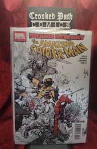 The Amazing Spider-Man #555 (2008)