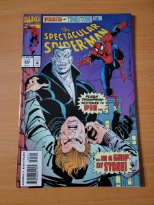 Spectacular Spider-Man #205 Direct Market Edition ~ NEAR MINT NM ~ 1993 Marvel